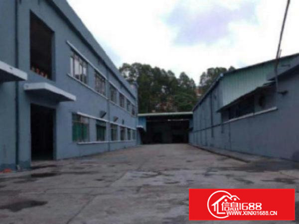 高埗钢构独院4500平方可分租