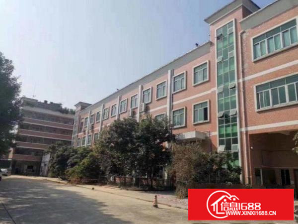 上江城村原房东一楼厂房出租600平，带环评