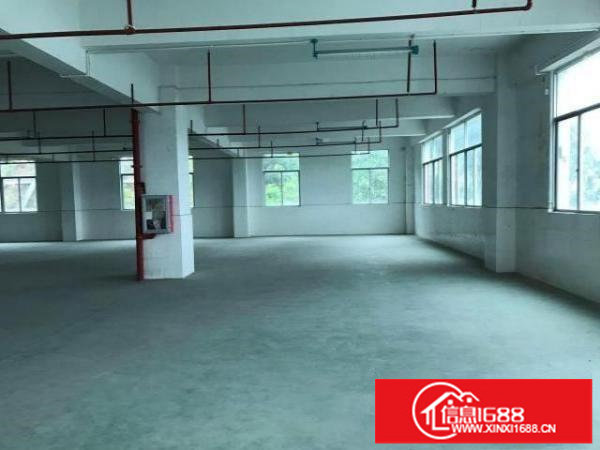 丹竹头地铁工业区厂房450平租金22元一平带卸货平台
