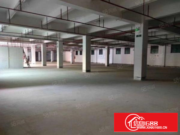 拎包入住,带喷淋消防石排镇新出独院标准厂房1000平米招租