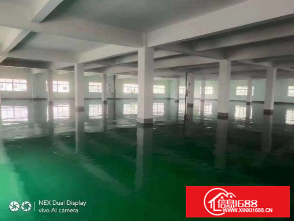 带注塑环评行车全新地坪漆清溪一二楼各1800平厂房出租