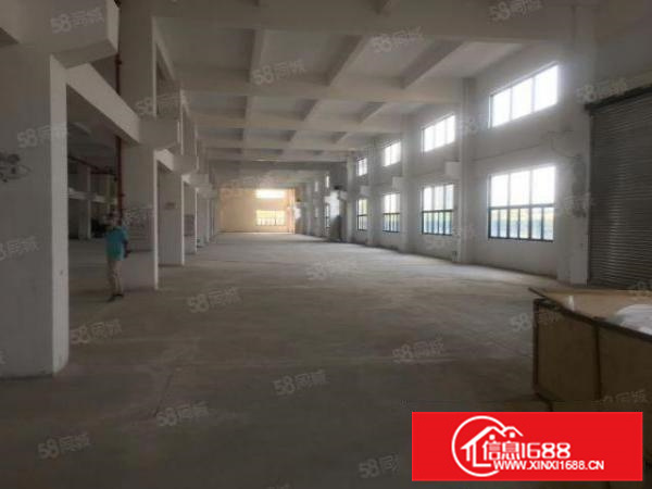 勒流江义800方国有厂房水泥首层，租金仅需18500月两押