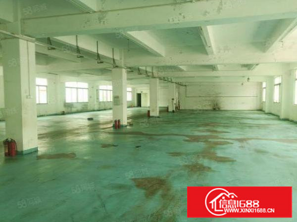 长安镇涌头原房东独院厂房13楼4500平方低价出租无公摊