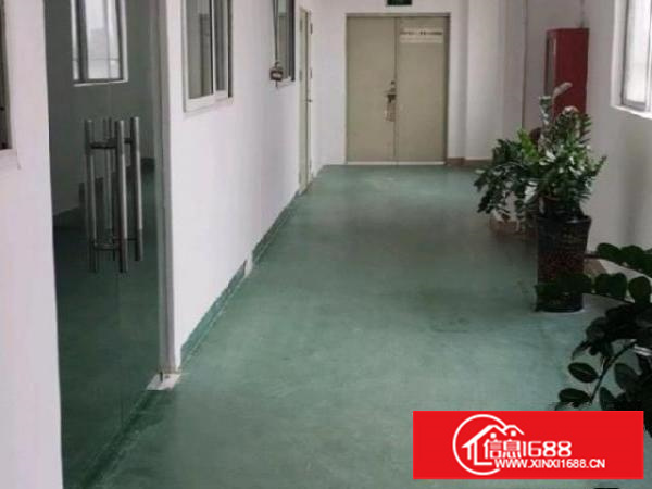 自己的厂房，非中介，豪华装修，欢迎来撩！