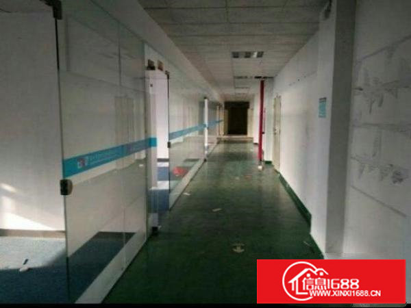 坂田仓库,电商,房厂,物流仓库400平米大小都有