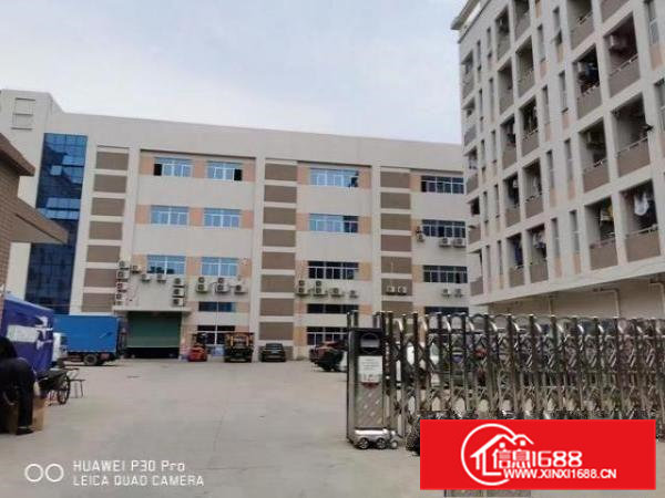 大岭山无尘车间1000平方厂房出租