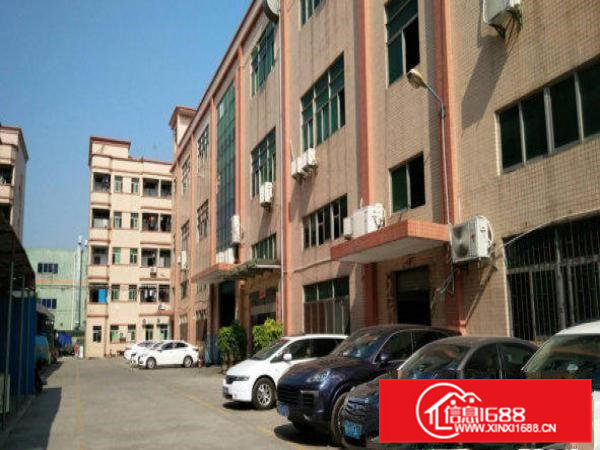 桥头莲城新出原房东三楼1000平厂房出租