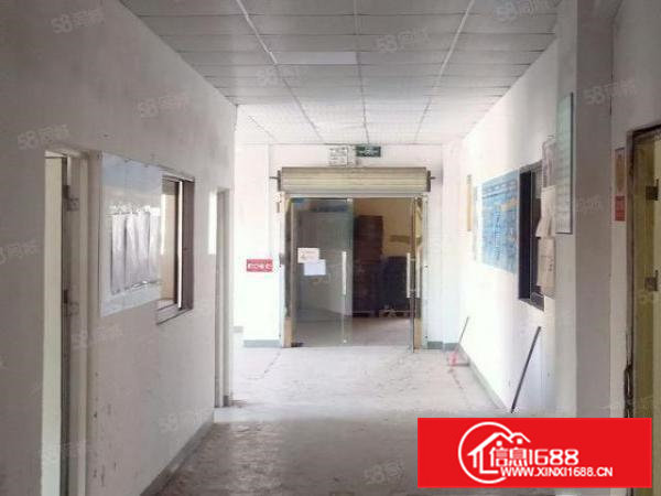 凤岗镇车站附近新出带装修1250平米标准电梯厂房免转让费