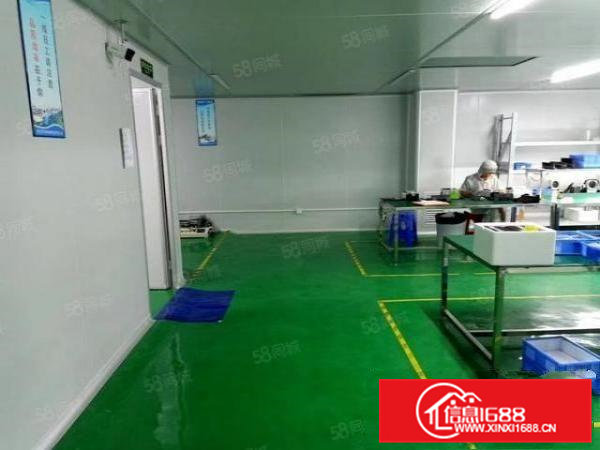 黄江北岸村新出带装修千级无尘车间1500平方，三楼厂房出租，