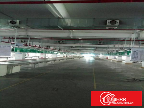 陈江全新红本厂房14000平米，可分租