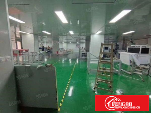 独门独院标准厂房出租，厂房7000宿舍2000办公楼1000