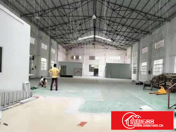 厚大路新出单一层钢构1000平厂房出租，面积实量，价格实在！