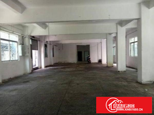 坪山横坪路旁标准独院厂房整层层3900平米招租（可分）