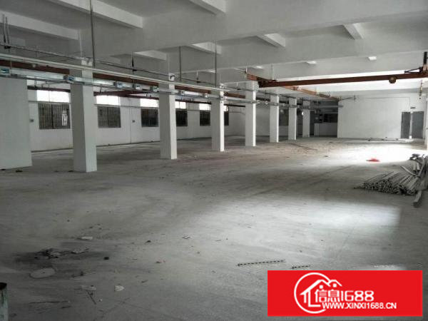 坪西原房东独院红本厂房实际面积出租3300平方