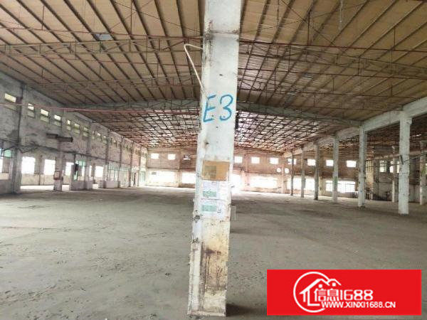 坪地独院8米高钢构厂房8000平米