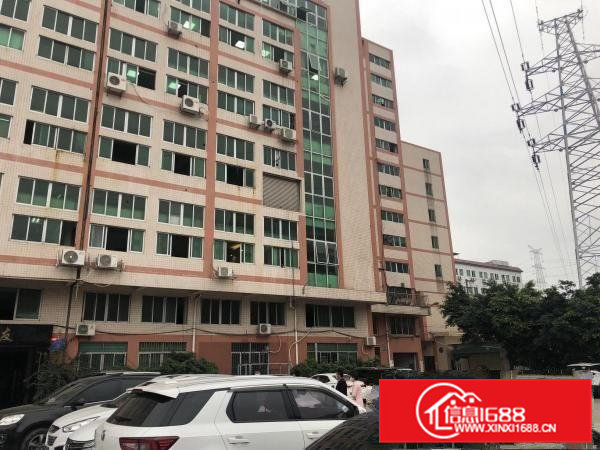 新出！龙眼服装制衣厂房300平米800平米1500带装修出租