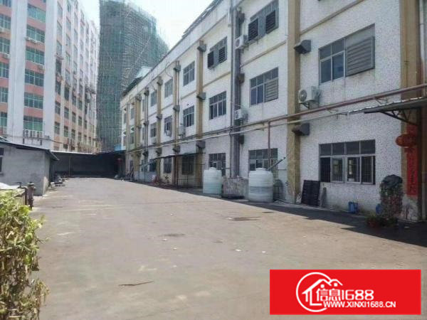 凤岗金凤凰独院一楼1800平方免费空地1100平方