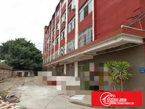 谢岗标准一楼一层800平厂房出租主干道旁边