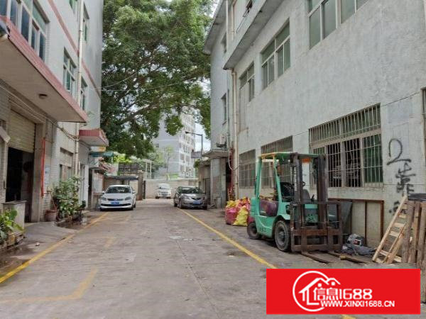 龙华清湖新出一楼标准厂房720平方出租