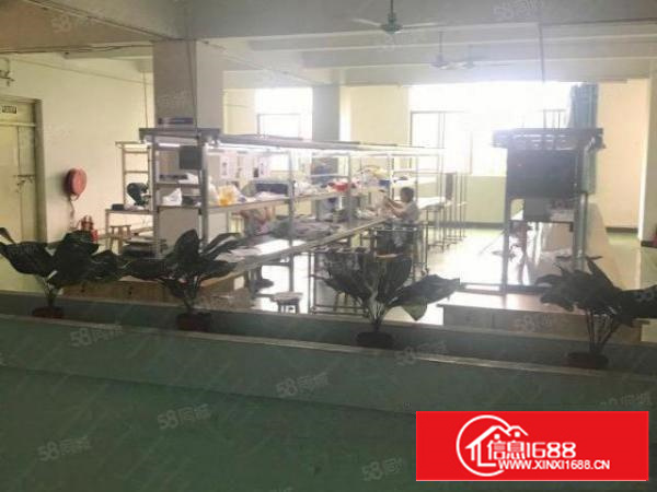 西溪独院厂房3800平招租，现成装修，交通便利！