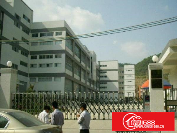 大岭工业区新出一楼精装修办公室1100平方厂房招租