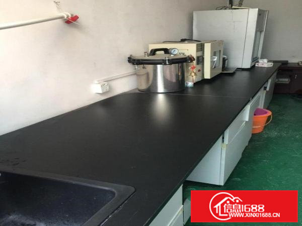 寮步凫山厂房出租交通地段非常方便