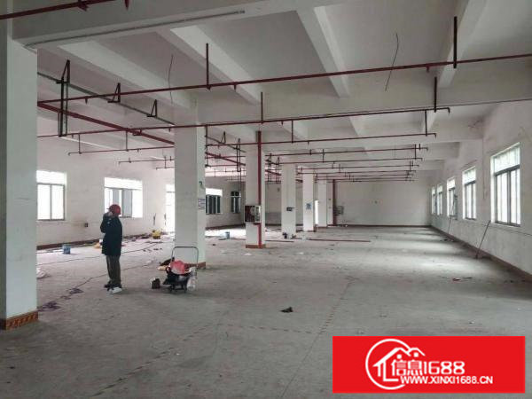 横岗六约沃尔玛附近新出一楼300平红本厂房