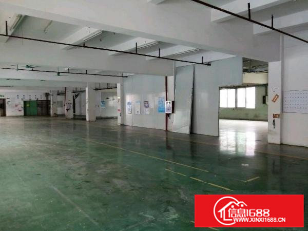 4500平方独院标准厂房出租