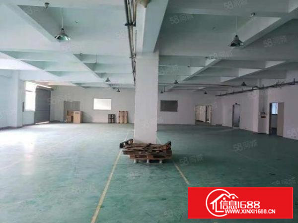 塘厦沙湖标准厂房1楼1300平，消防合格！