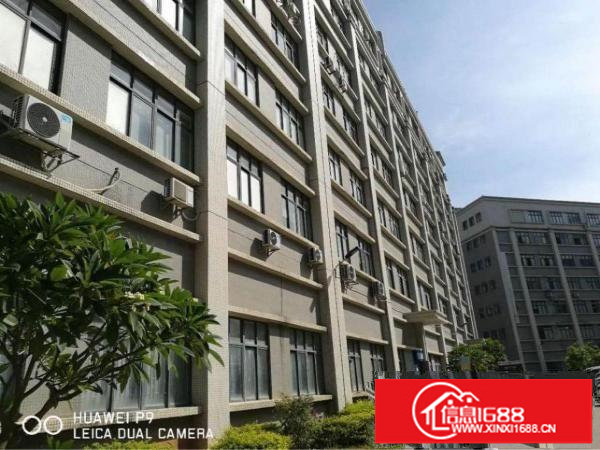 布吉上李朗新出6000平米厂房出租