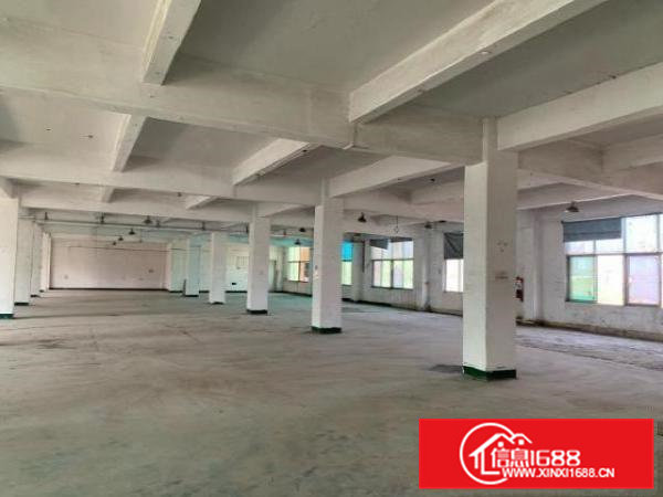 原房东直租、全新独院厂房