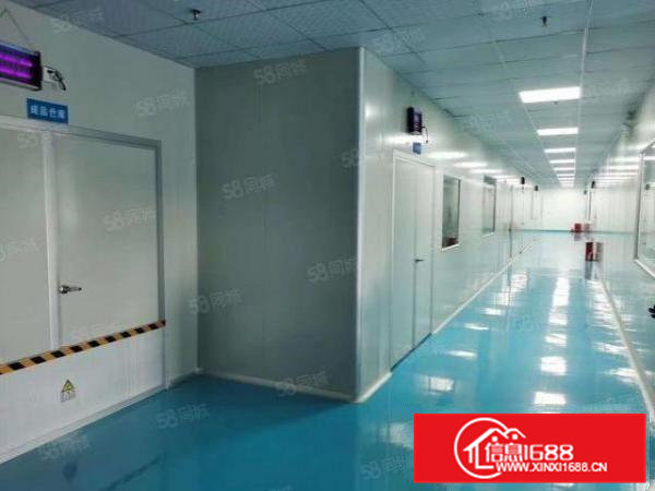 石排镇原房东出租现成装修无尘车间可拎包入住价格便宜