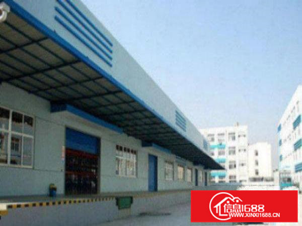 高埗独院单一层钢构厂房5000平方出租带消防喷淋