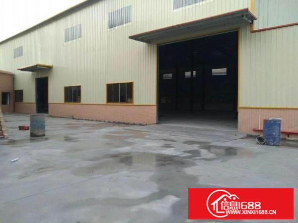 茶山独院单一层全新标准钢结构厂房出租2000平方米