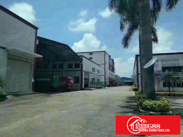 独院钢构厂房出租滴水9米12000平方。水电齐全适合各种行业