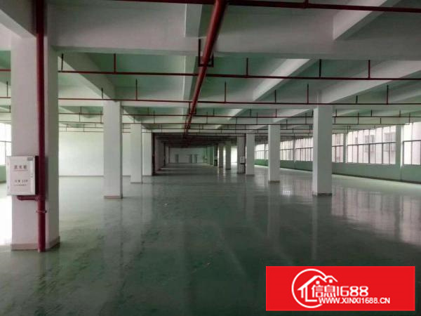 惠州镇隆高速出口原房东独院标准厂房30000平出租