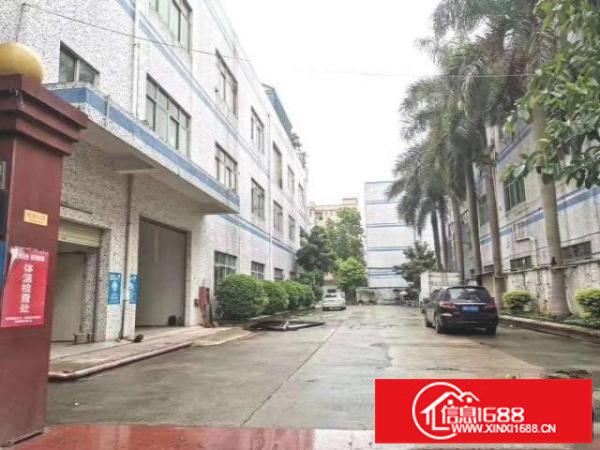 龙岗嶂背新出楼上1200平方现成装修办公室