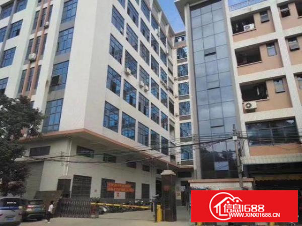 大岭山高新科技园精装修标准厂房可分租1960平米