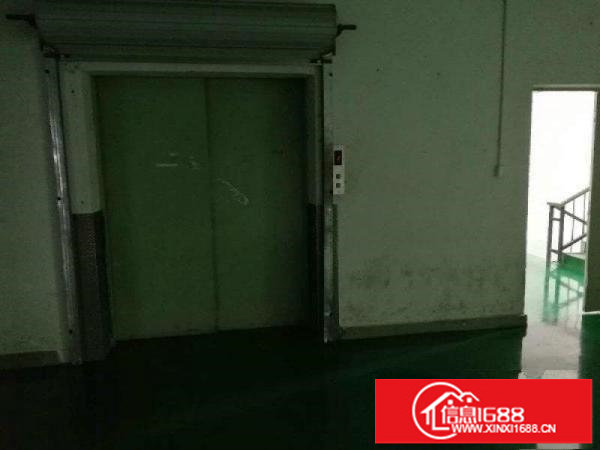 松岗碧头1500平精装厂房出租,公摊面积小,实图