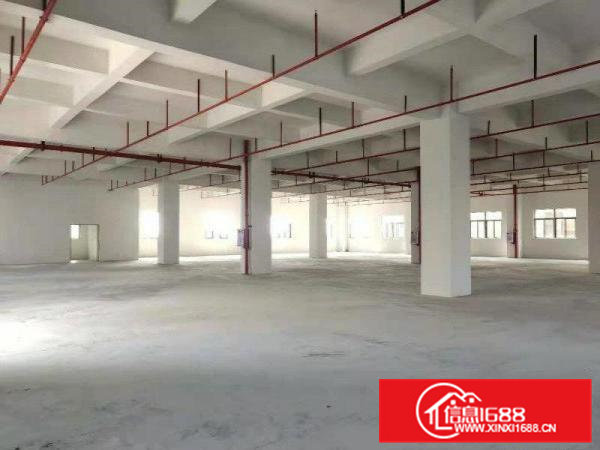 新原房东出标准厂房三层面积共3300平方，空地超大，白菜价