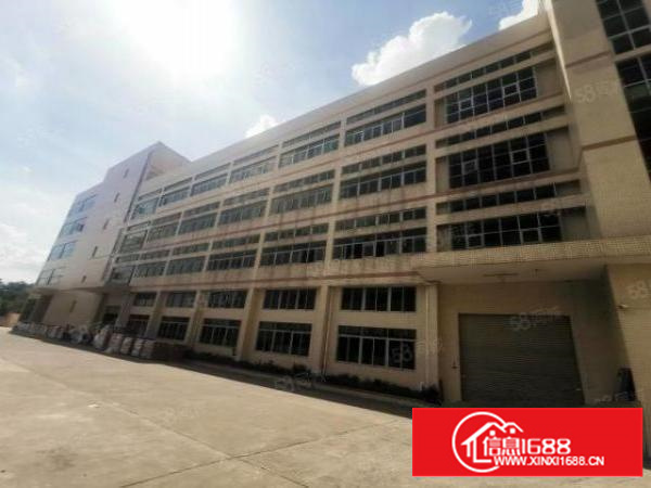 茶山新出全新独门独院厂房形象好交通便利东部快速附近