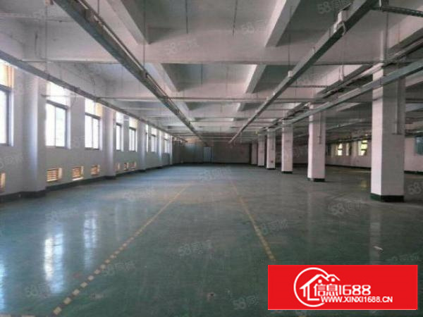 石排厂房出租独院厂房分租今日更新