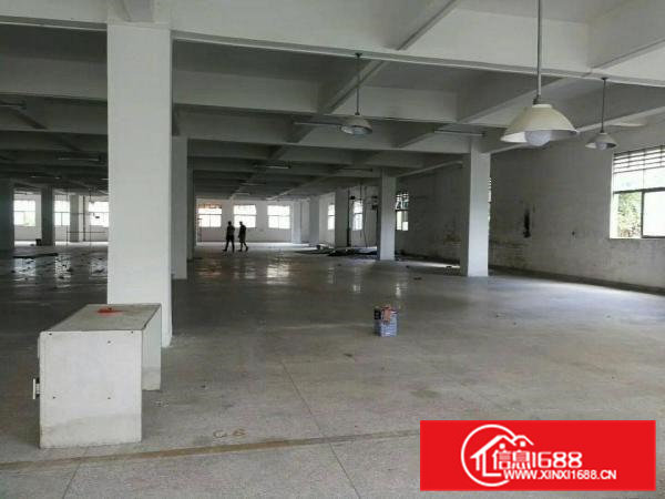 企石花园式正规标准厂房12000平大小可分租