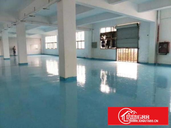 沙井共和新安大桥旁700平米精装修厂房和仓库出租