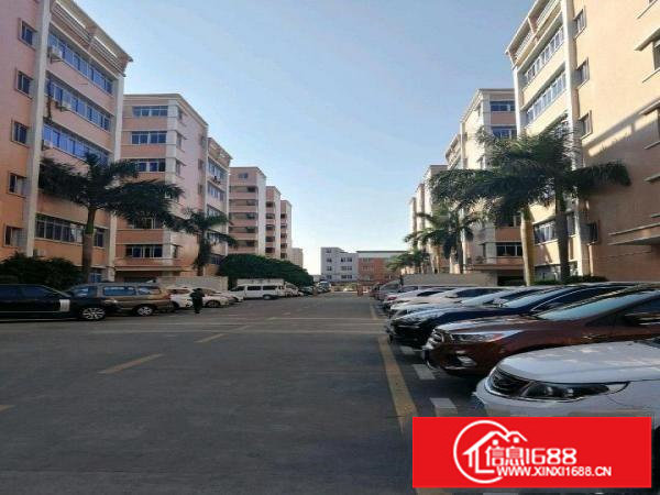 龙山工业区100-2000平厂房招租