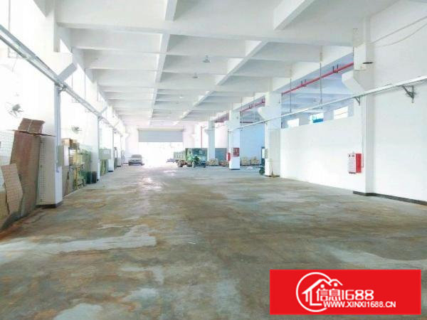 井美168工业区厂房出租1300㎡