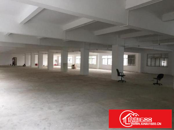 坪地北通道1370平原房东厂房出租