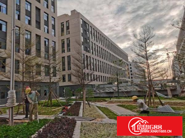 寮步镇原房东独门独院厂房48000平方，宿舍10000平招租