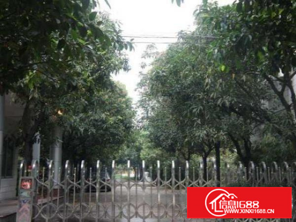 南海罗村小型厂房、仓库及50?80方办公室招租位置佳形象优越