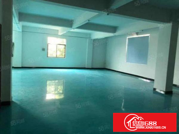 大岭山镇新塘原房东500平独栋标准厂房仓库出租，无尘车间